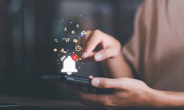 Updates: New Applications for the Fall Term 2026-2027